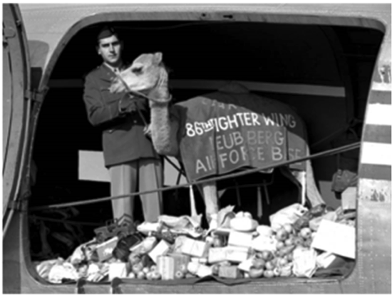 Das Bild zeigt das Kamel „Clarence“, das zusammen mit mehr als drei Tonnen Süßigkei-ten nach West-Berlin geflogen wurde.